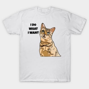 Cat I Do What I Want T-Shirt